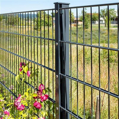 Ffens rhwyll Wire Dwbl PVC